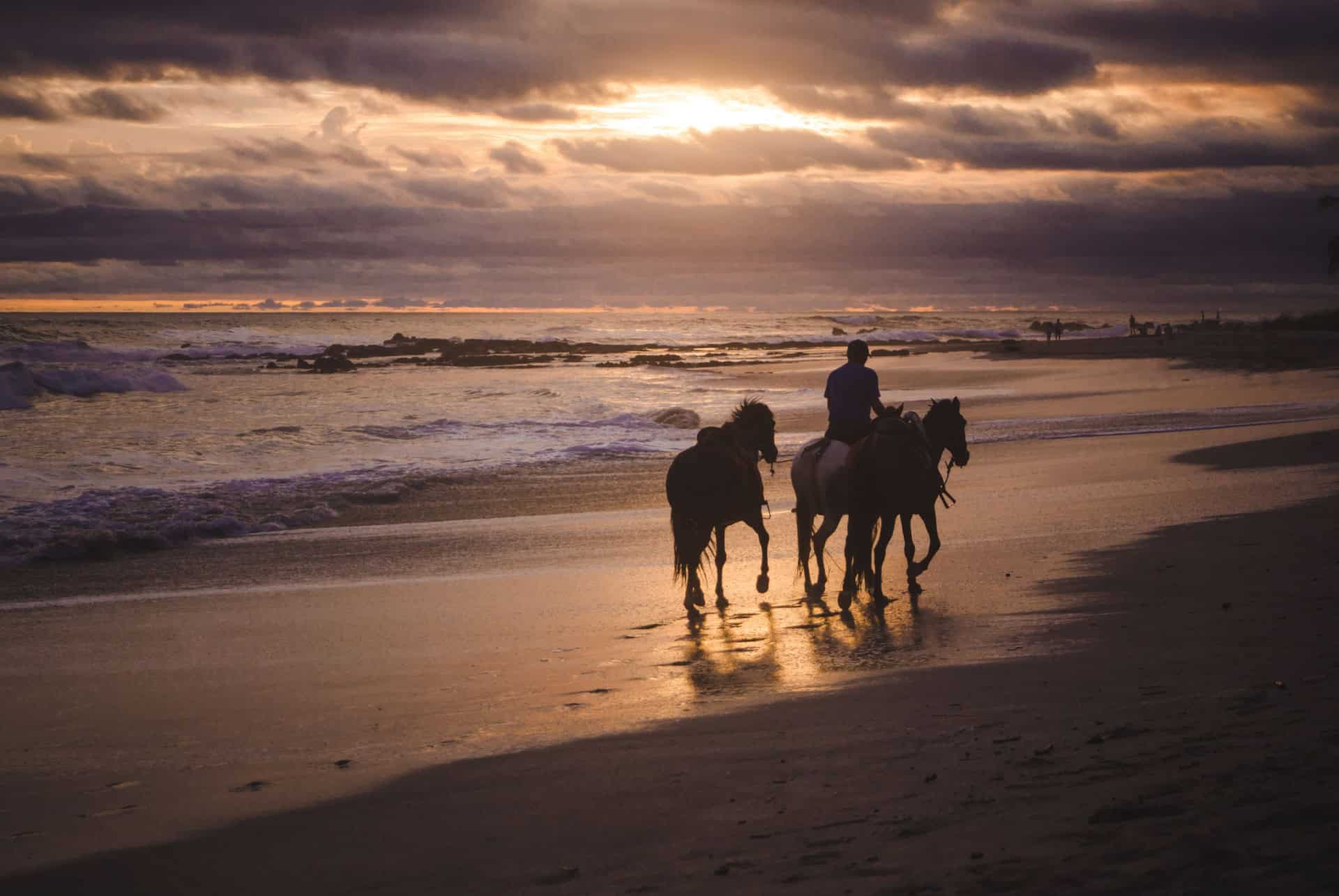 balade a cheval sur la plage de santa teresa costa rica