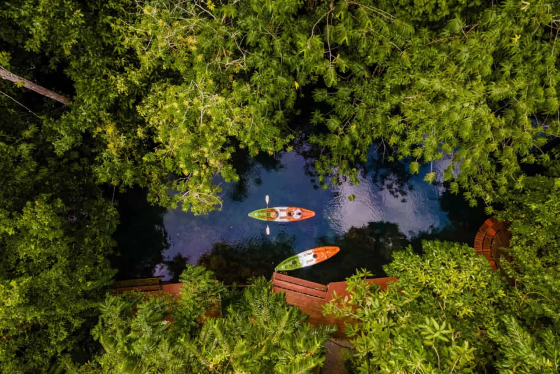 canoe kayak dans la mangrove de ao thalane