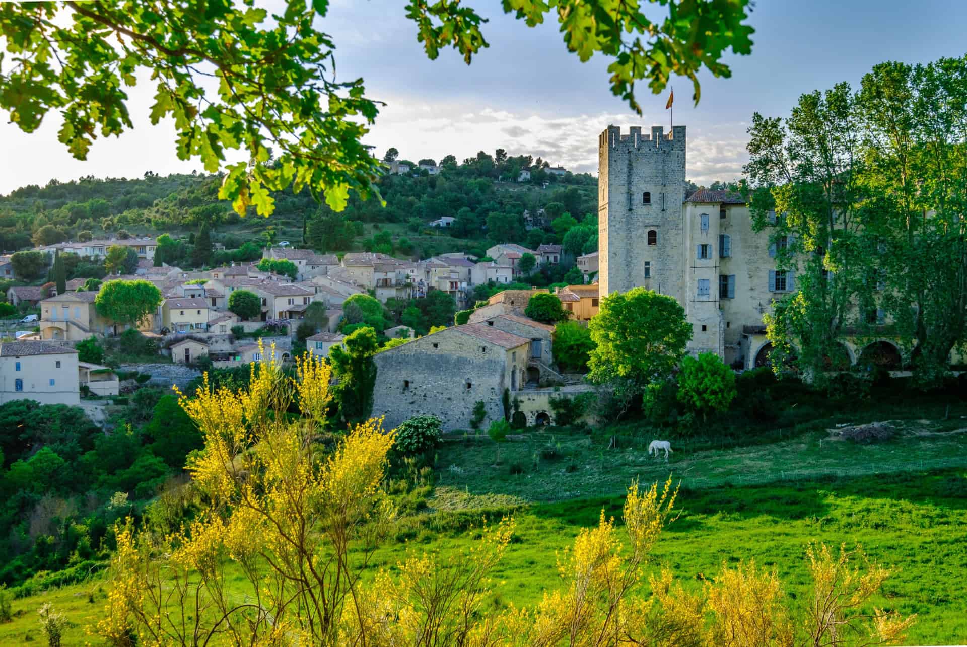 esparron de verdon