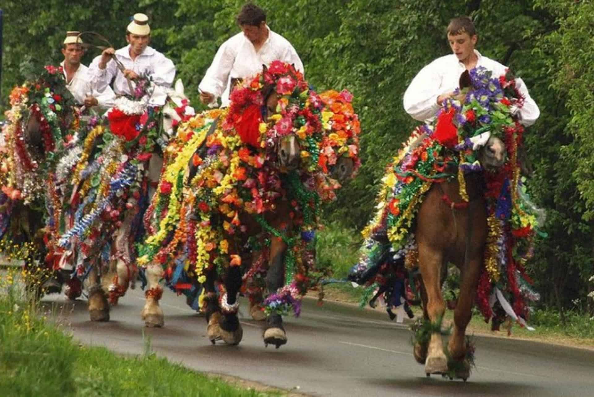 excursion dans les maramures