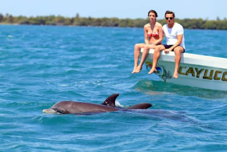 Excursion en bateau à Sian Kaan avec déjeuner