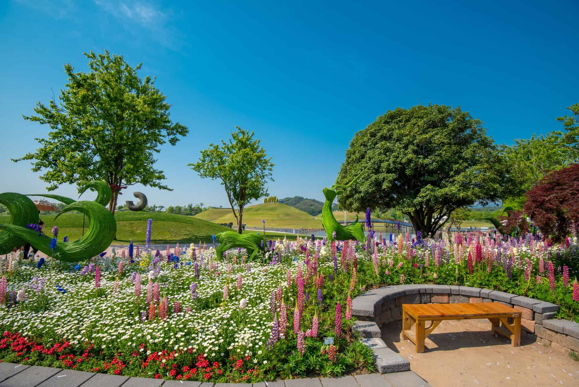 parterre de fleurs au jardin national de la baie de suncheon