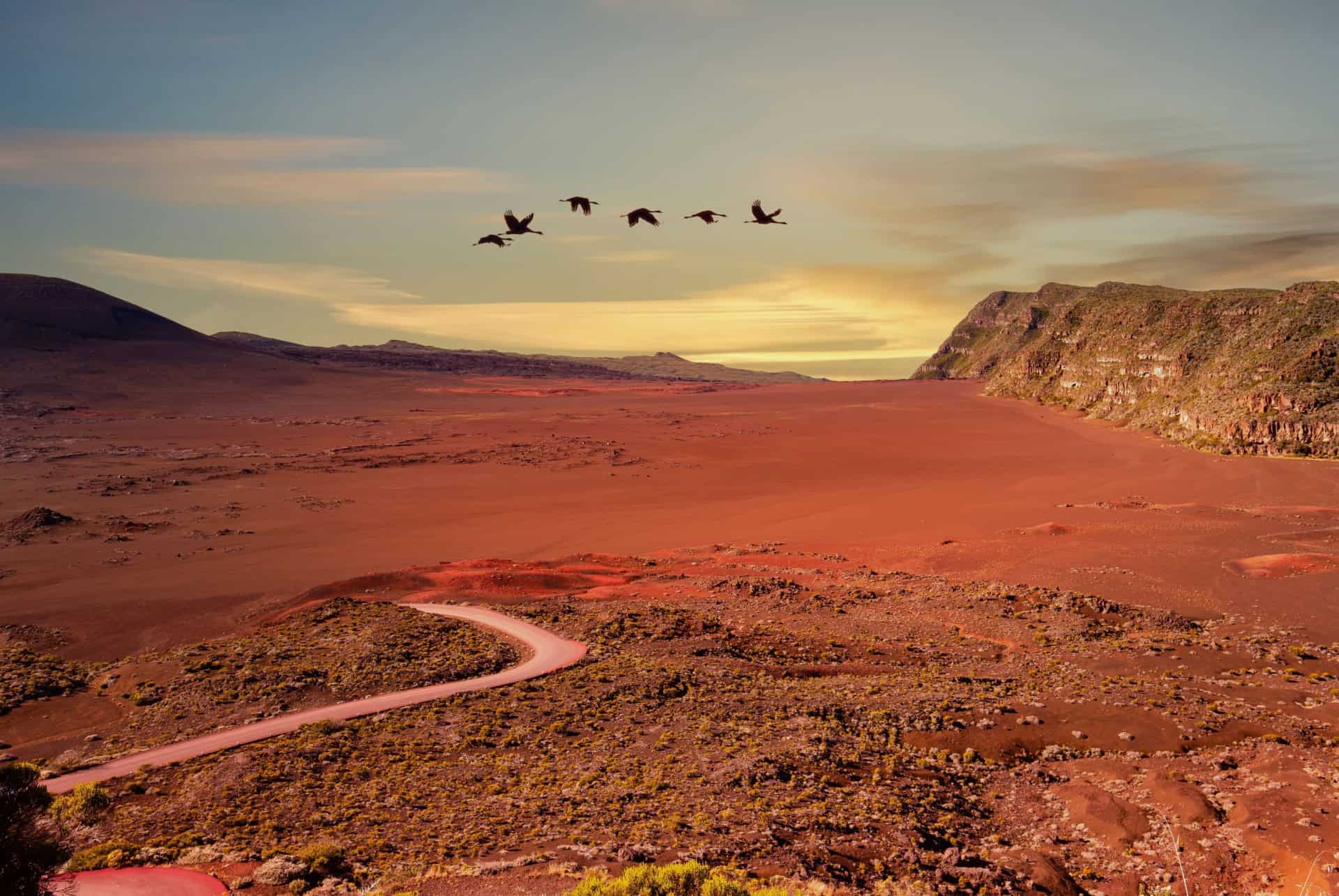 piton de la fournaise que faire à La Réunion