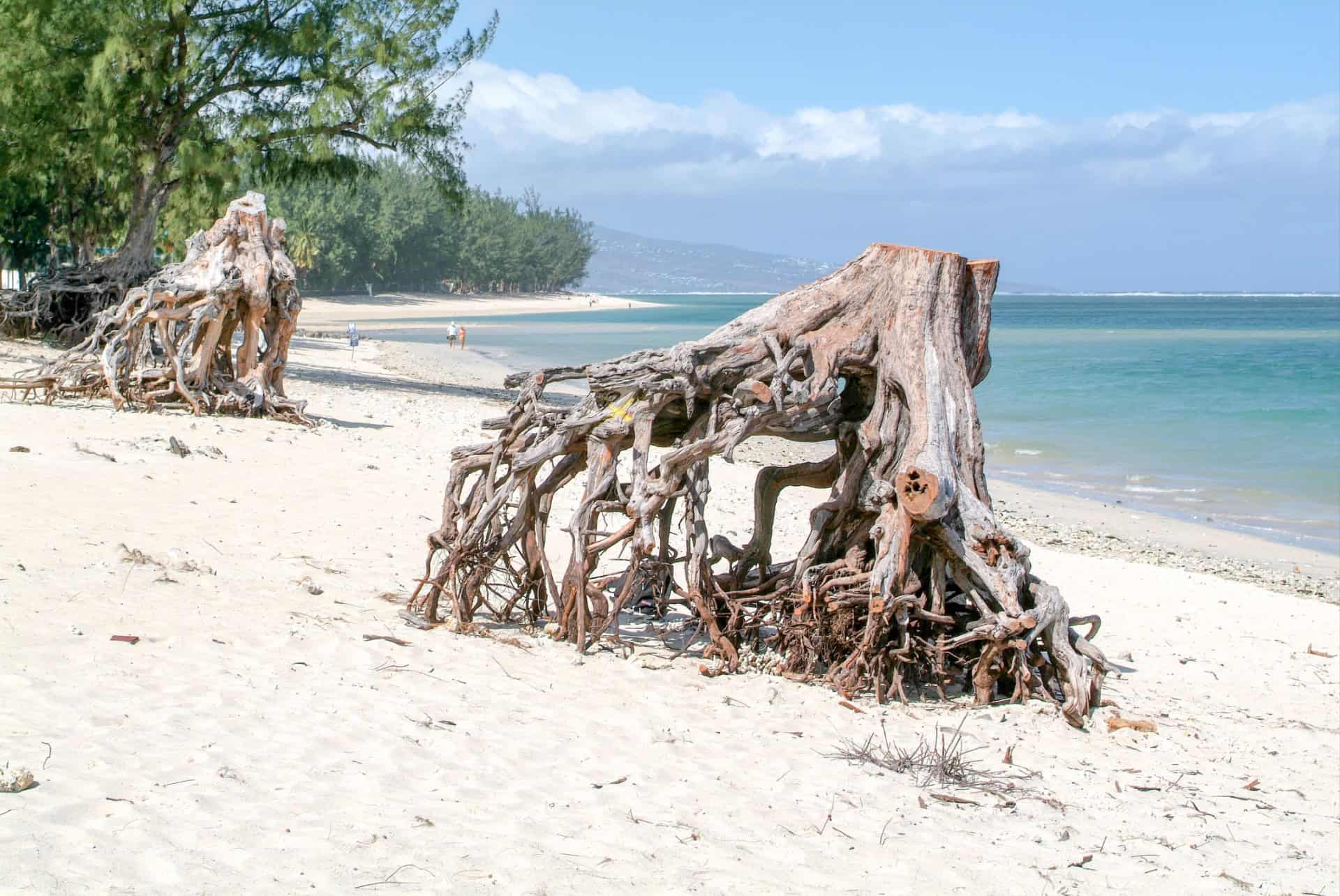 plage de l'Hermitage