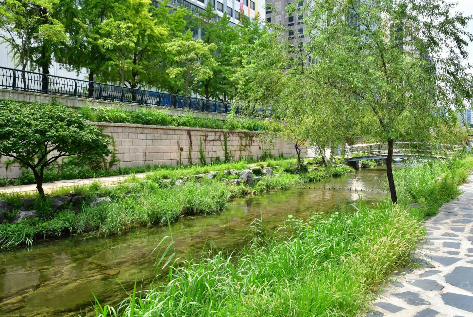 riviere cheonggyecheon