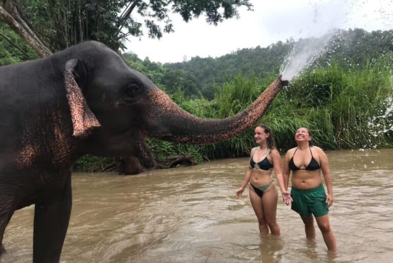 Visite du sanctuaire des éléphants et des chutes d'eau en groupe