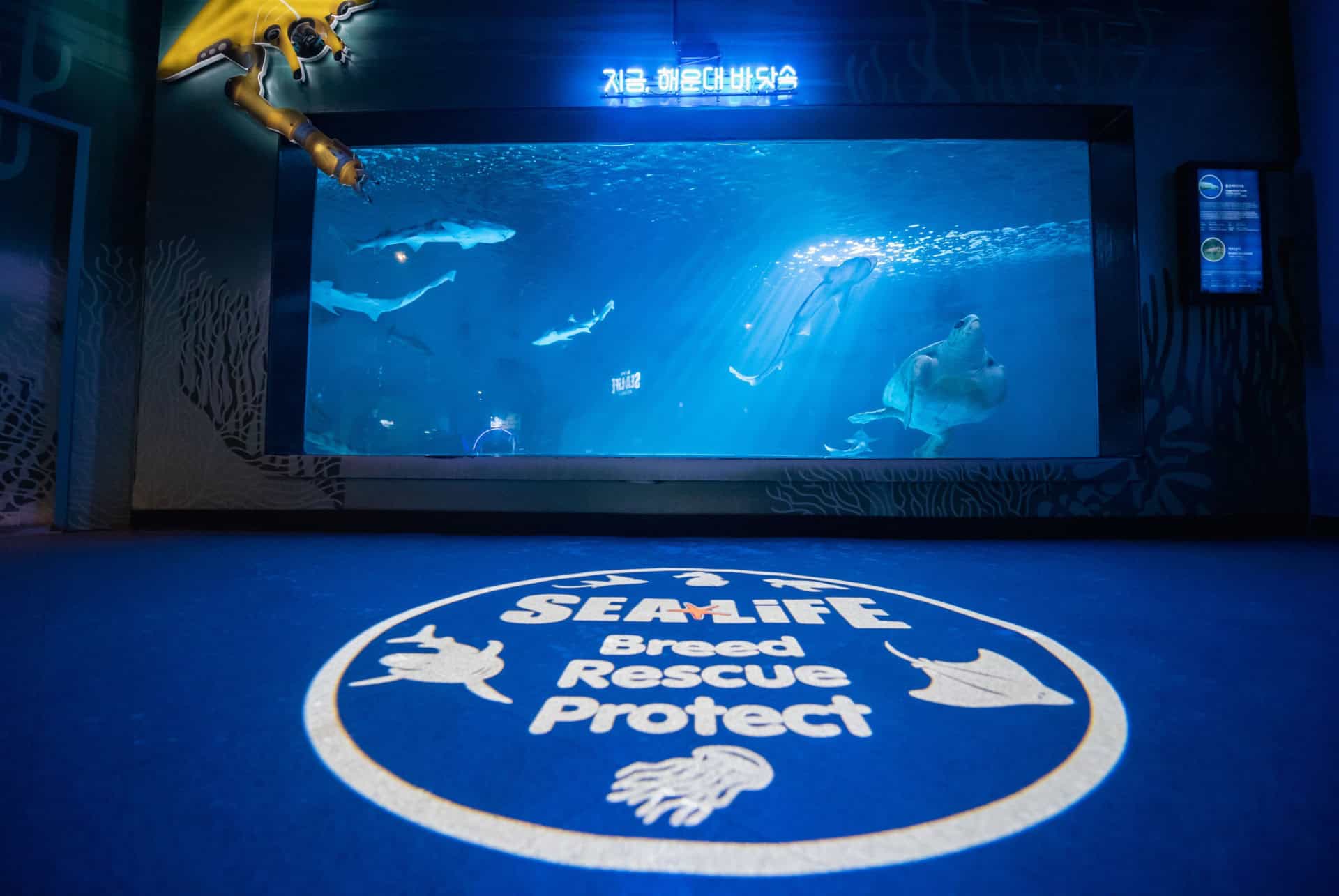 sea life aquarium busan