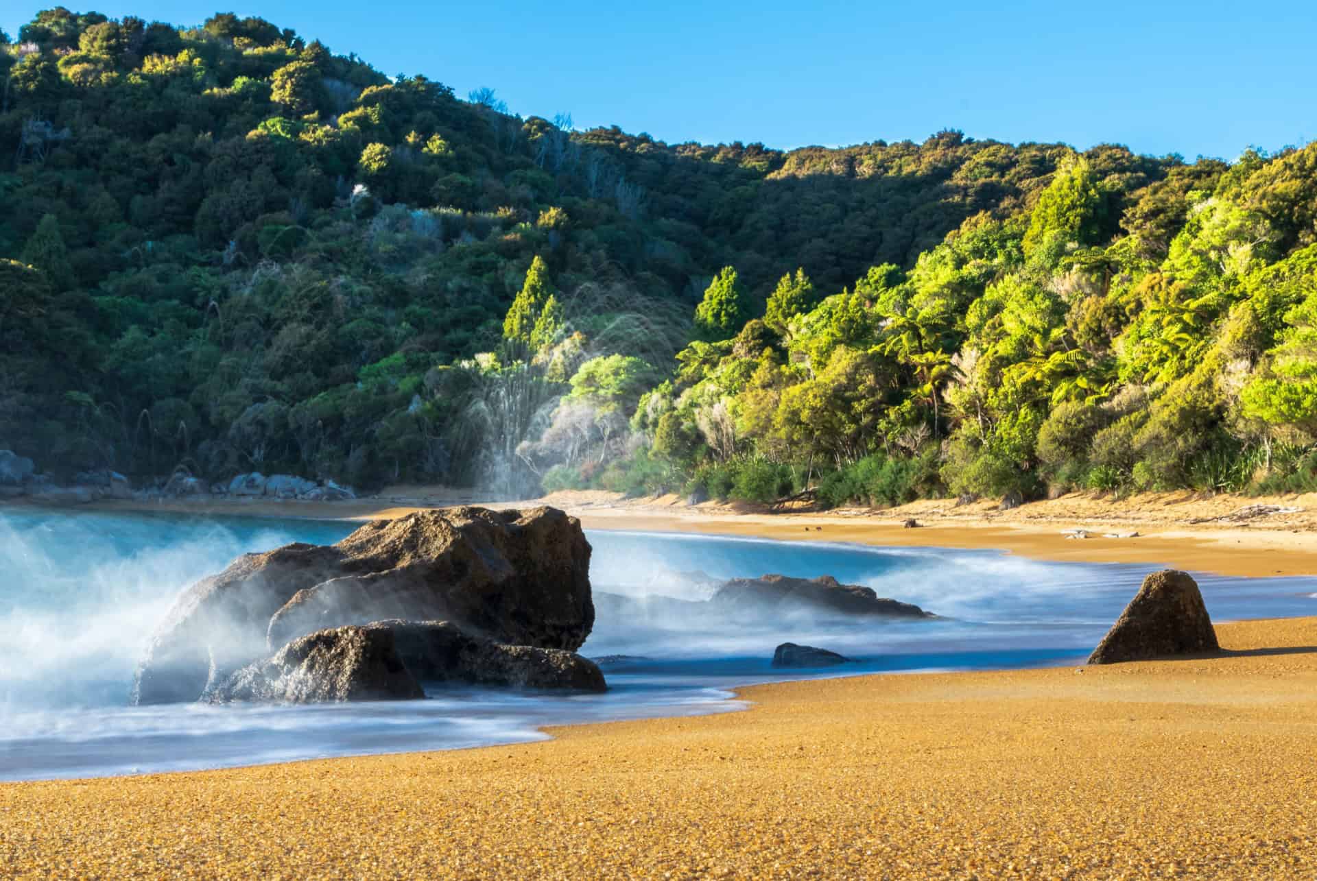 abel tasman parc national road trip nouvelle zelande