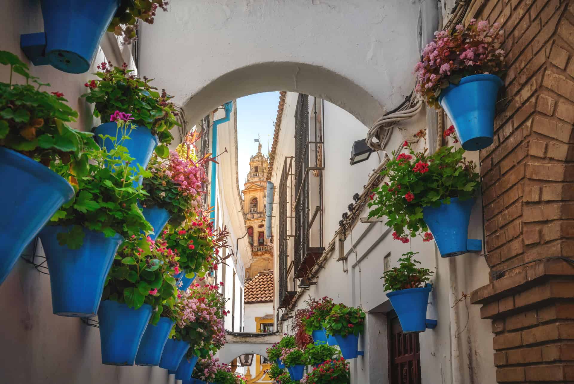 calleja de las flores