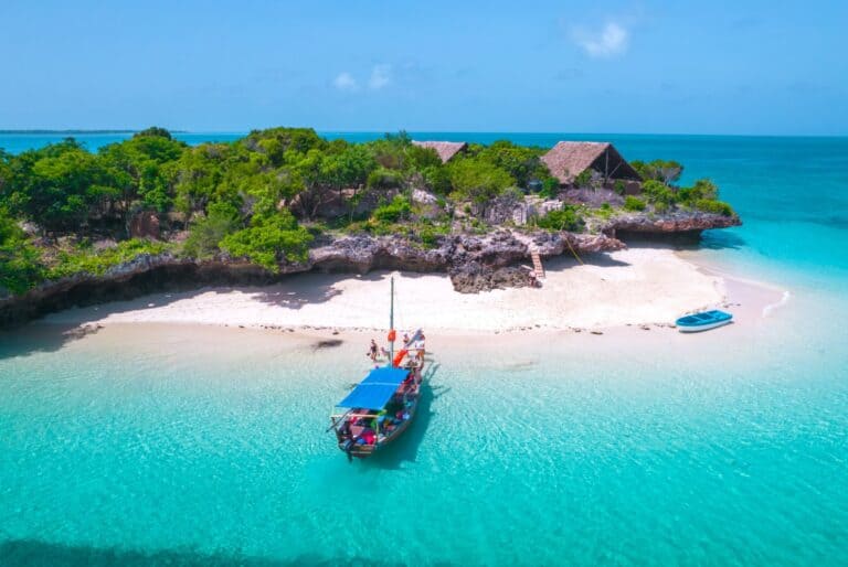 Excursion en bateau vers l'île Mnemba