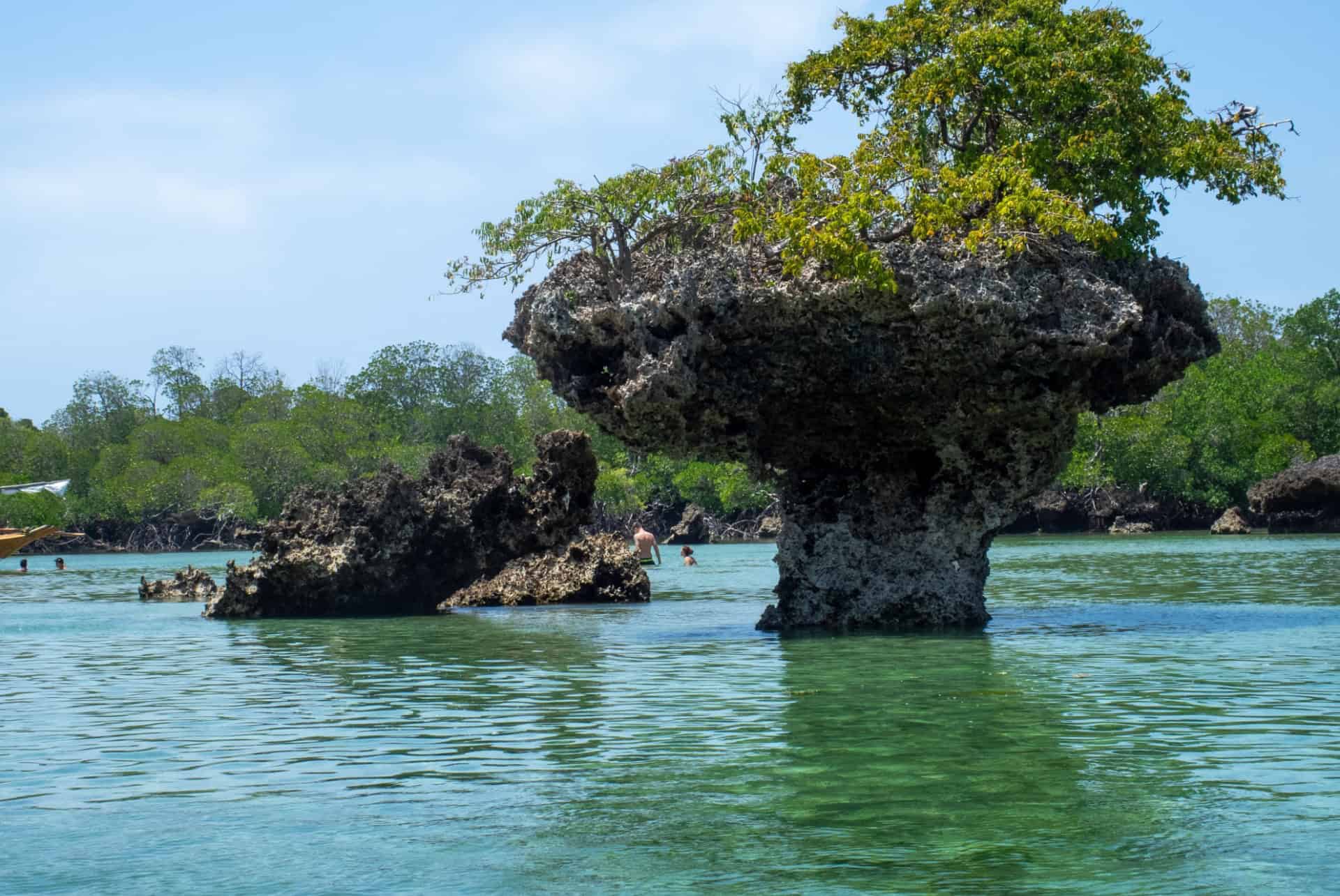 kwale island zanzibar