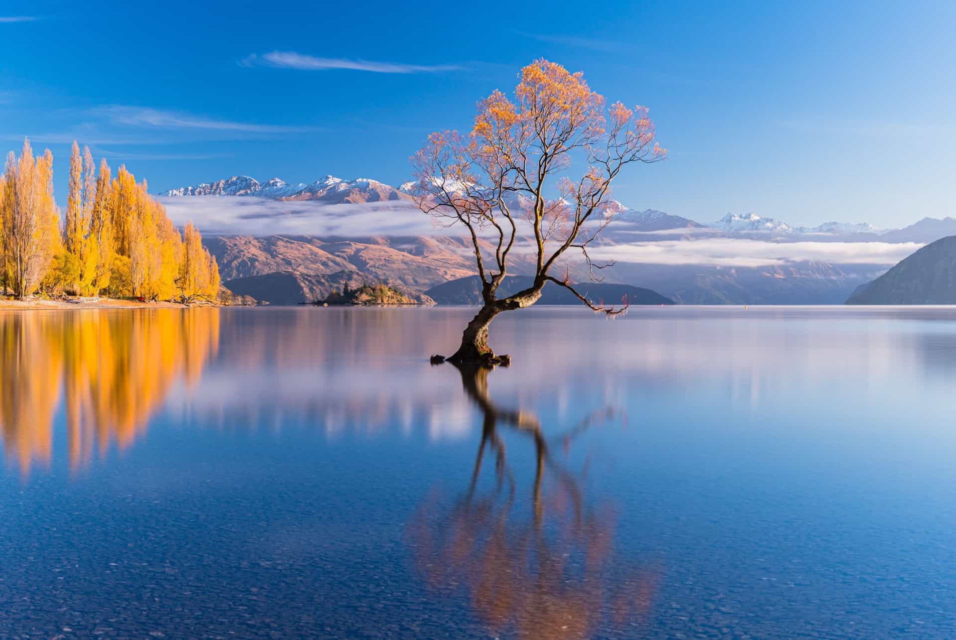 lac wanaka road trip nouvelle zelande