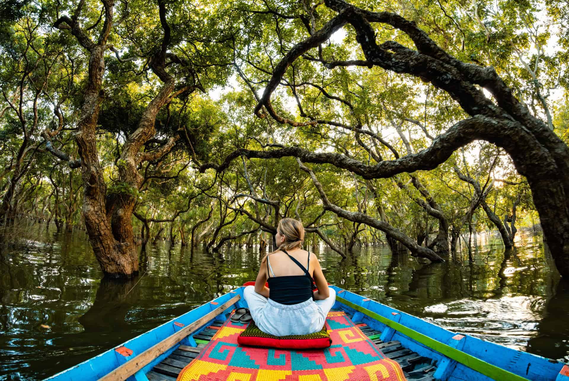 mangroves tonle sap