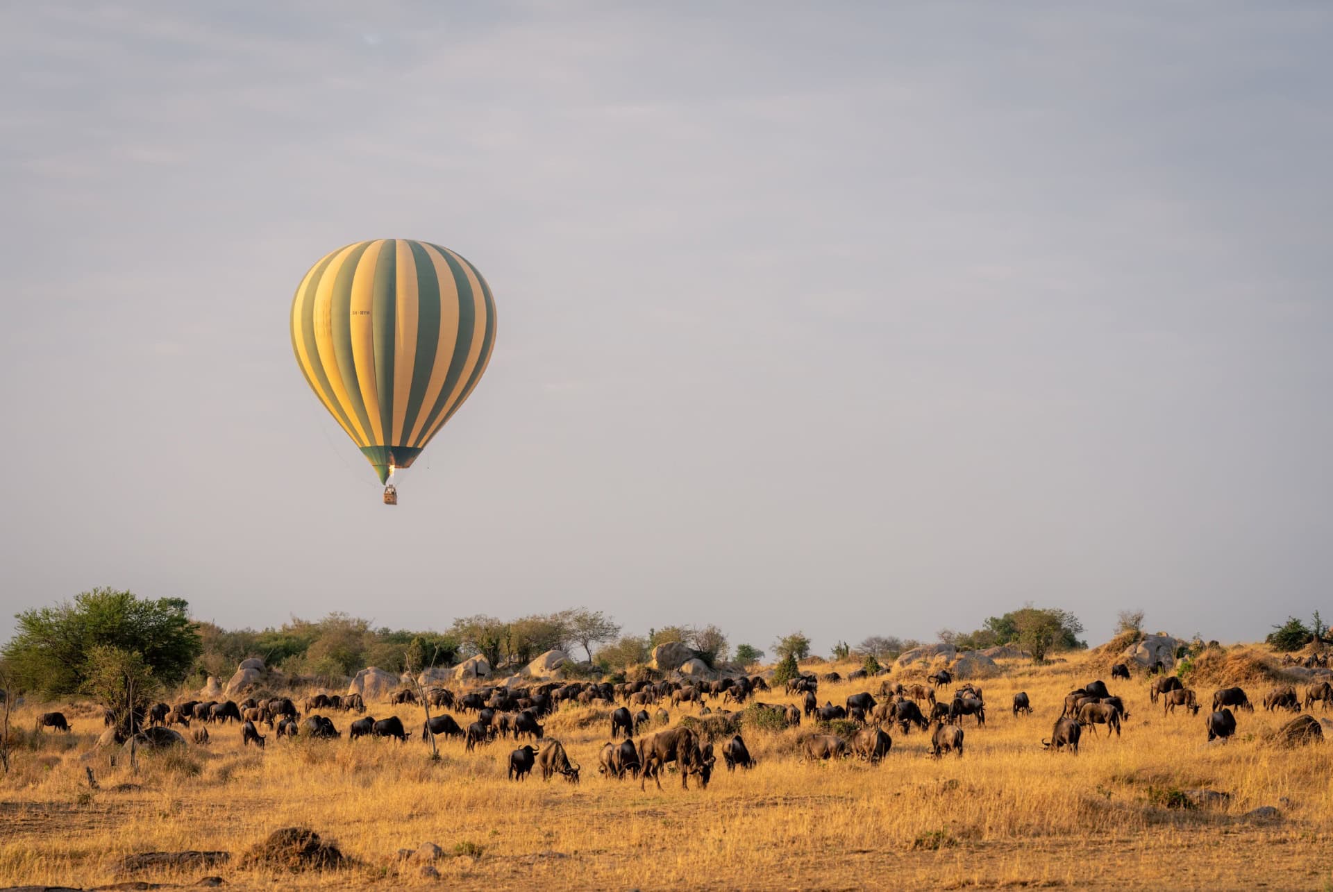 montgolfiere en tanzanie