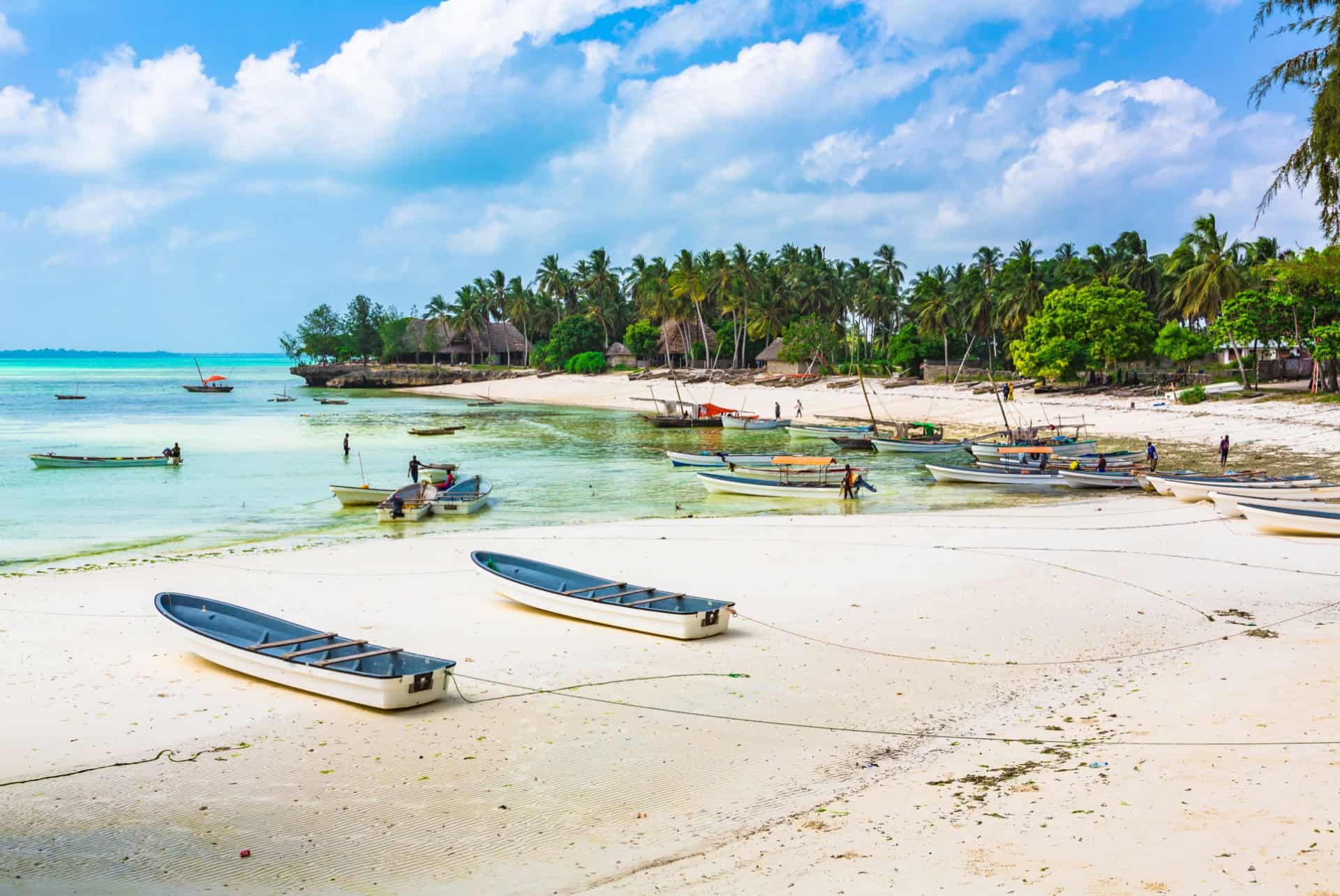 plages de zanzibar kizimkazi