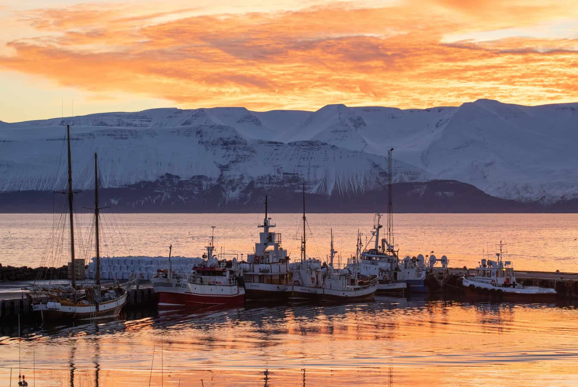 que faire a husavik le port