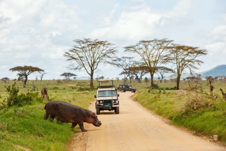 Safari de 3 jours