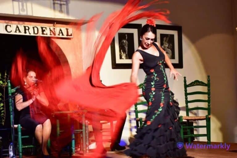 Spectacle de flamenco avec boissons