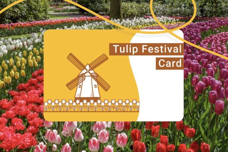 Tulip Festival Card