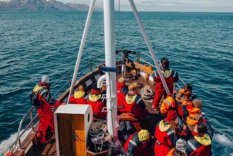 Visite guidée et familiale d'observation des baleines