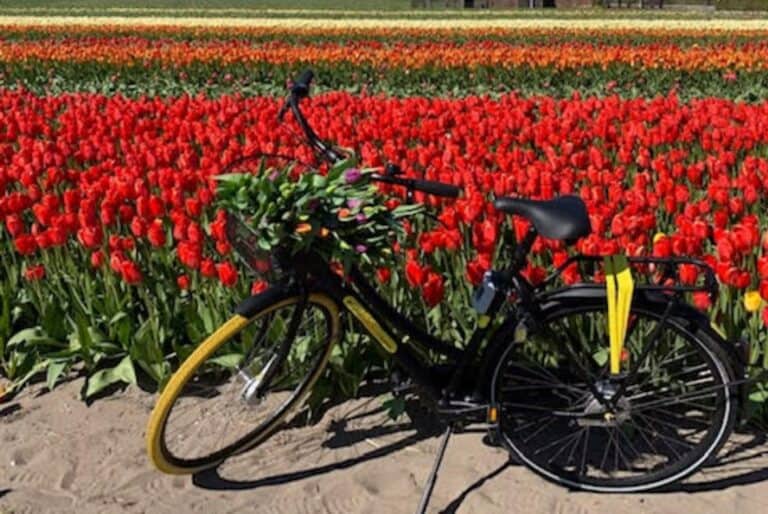 Visite guidée en vélo de Keukenhof