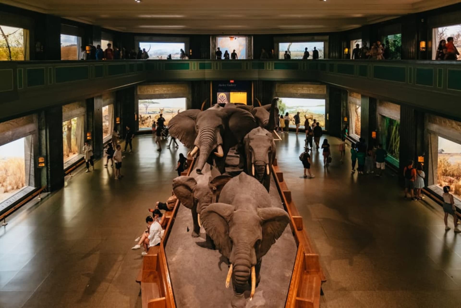musee americain histoire naturelle new york