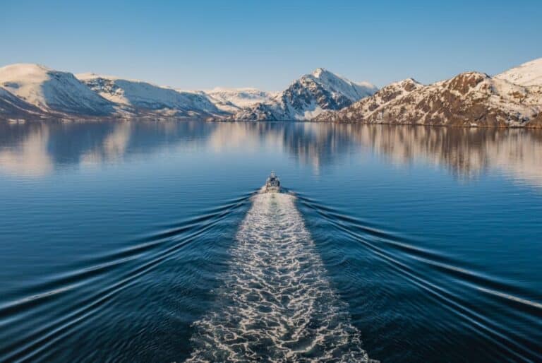 Alta – Observation des baleines de l’Altafjord