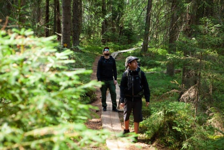 Randonnée dans la taïga de Liesjärvi