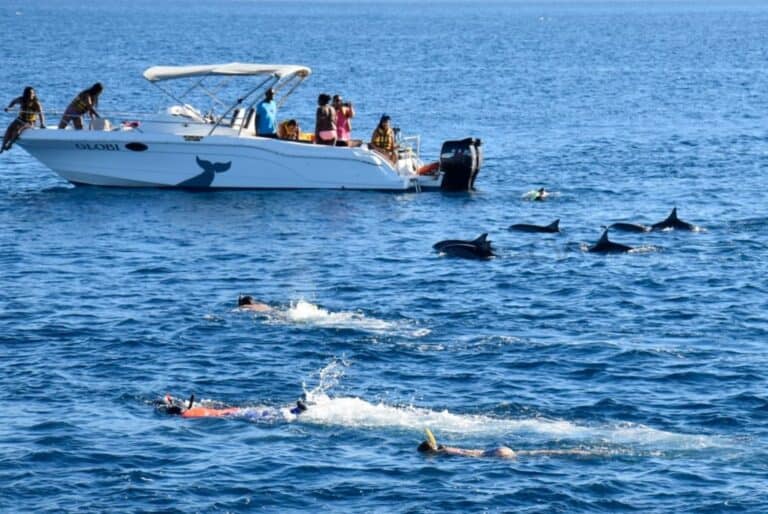 Excursions en bateau rapide