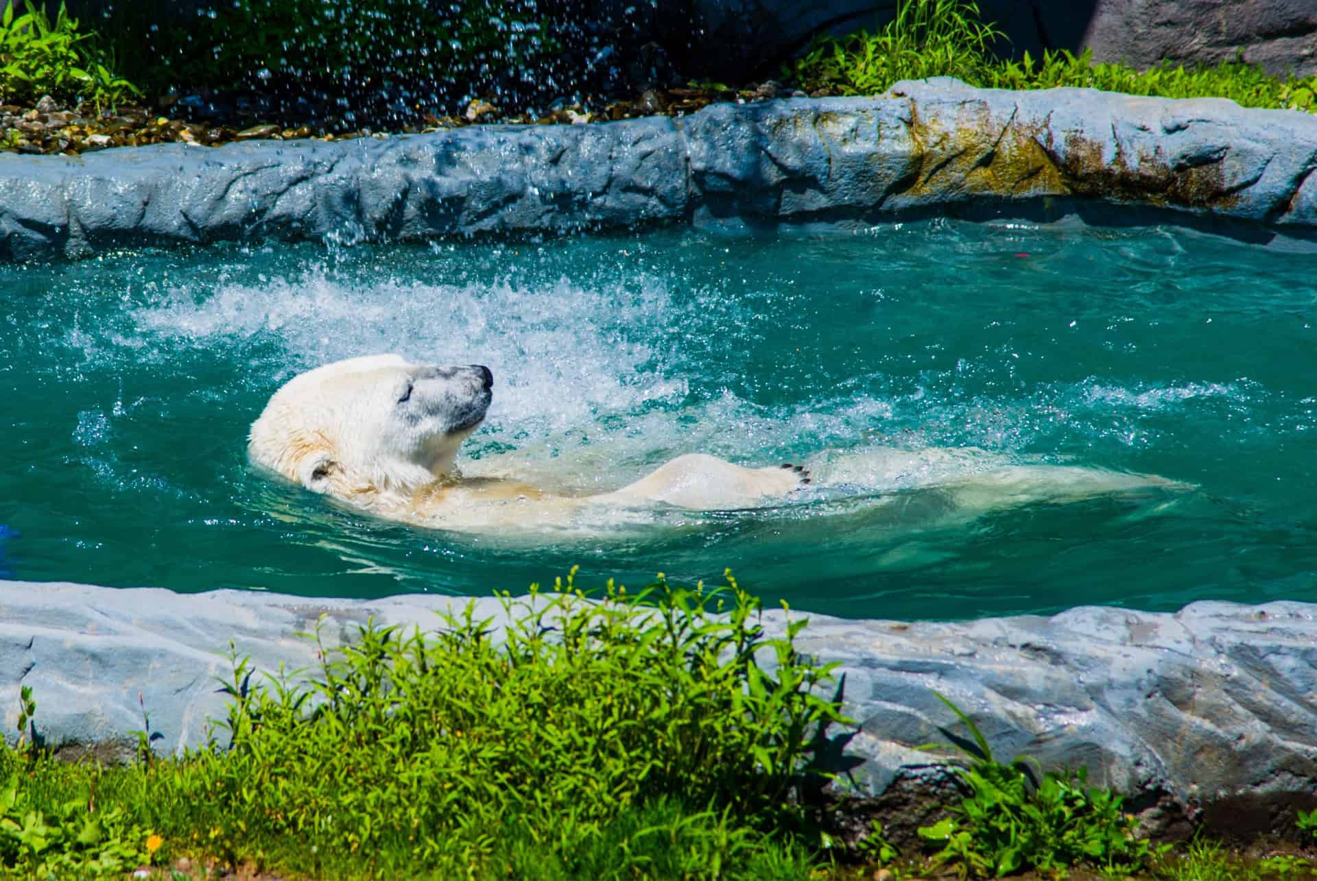 aquarium du quebec