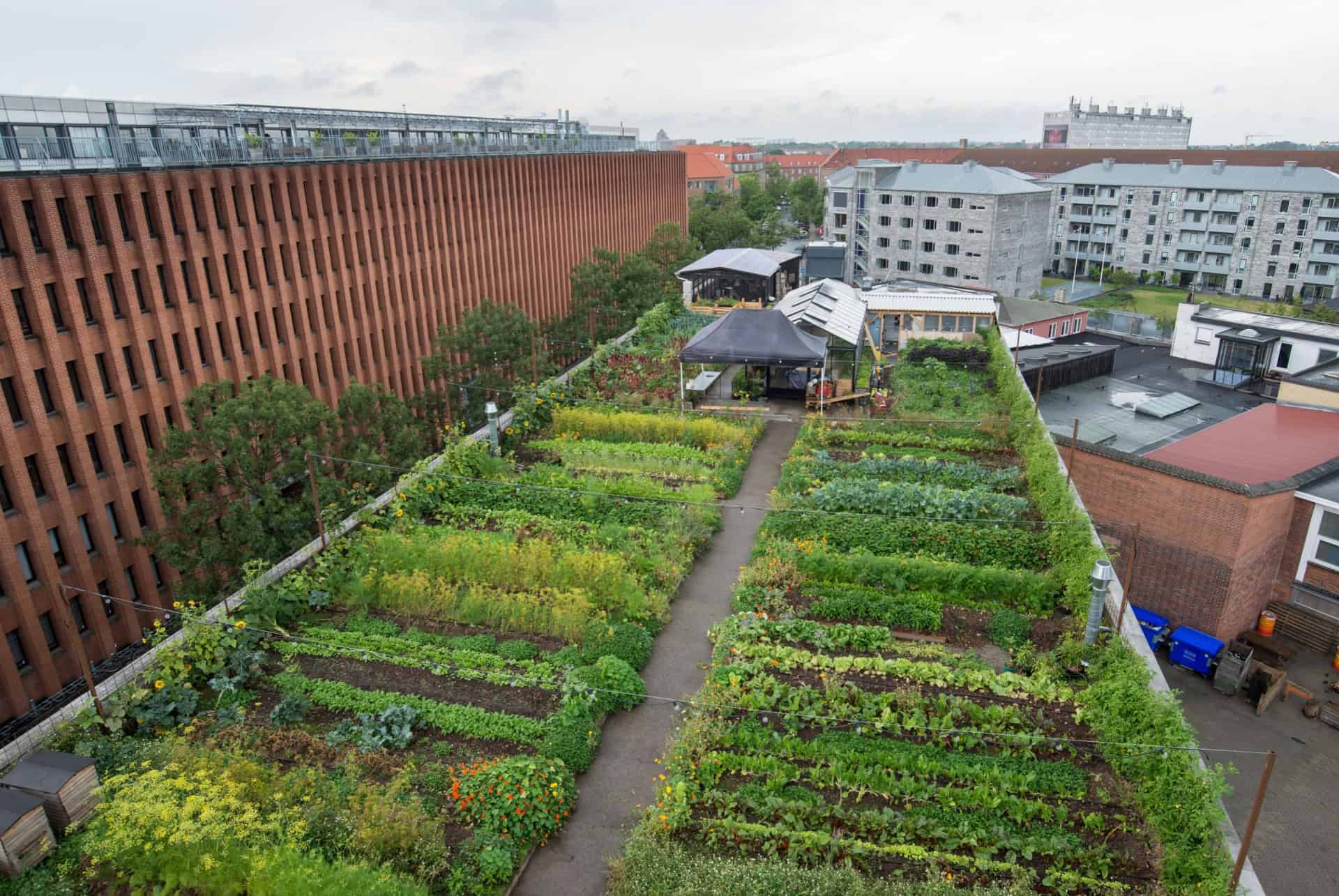 ferme urbaine ostergro copenhague