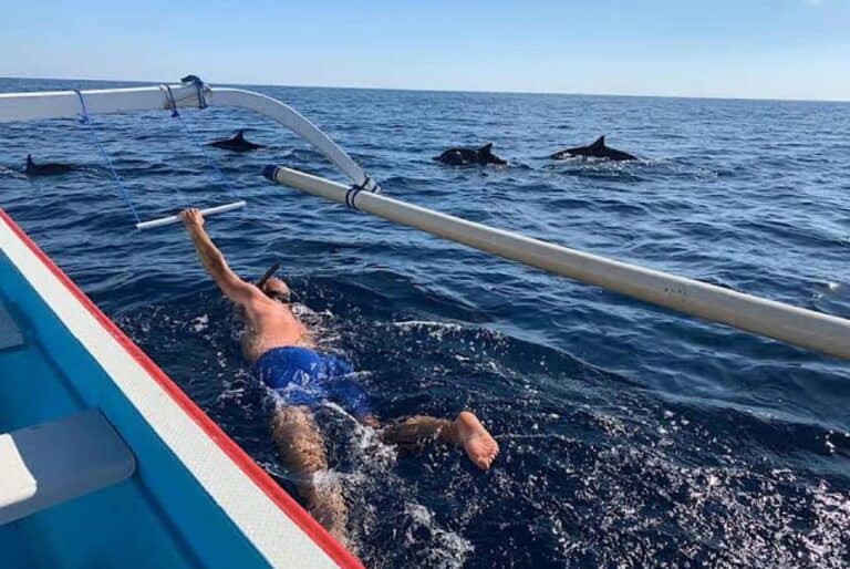 Observation des dauphins, baignade et plongée en apnée