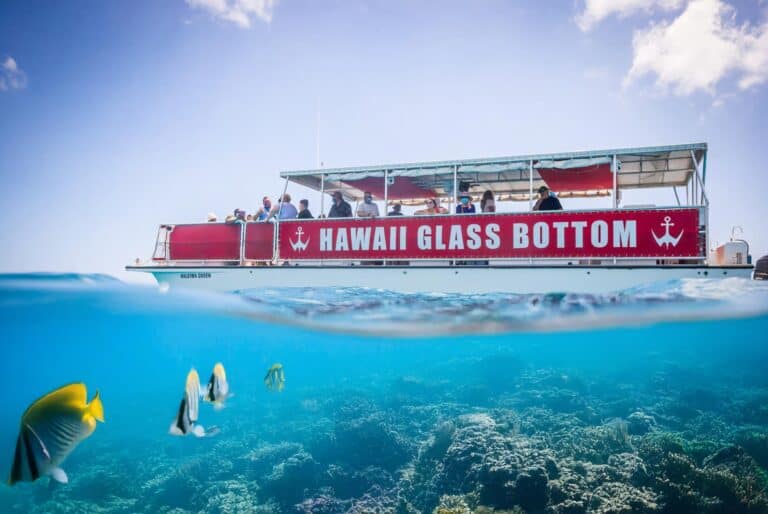 Honolulu : Croisière en bateau à fond de verre