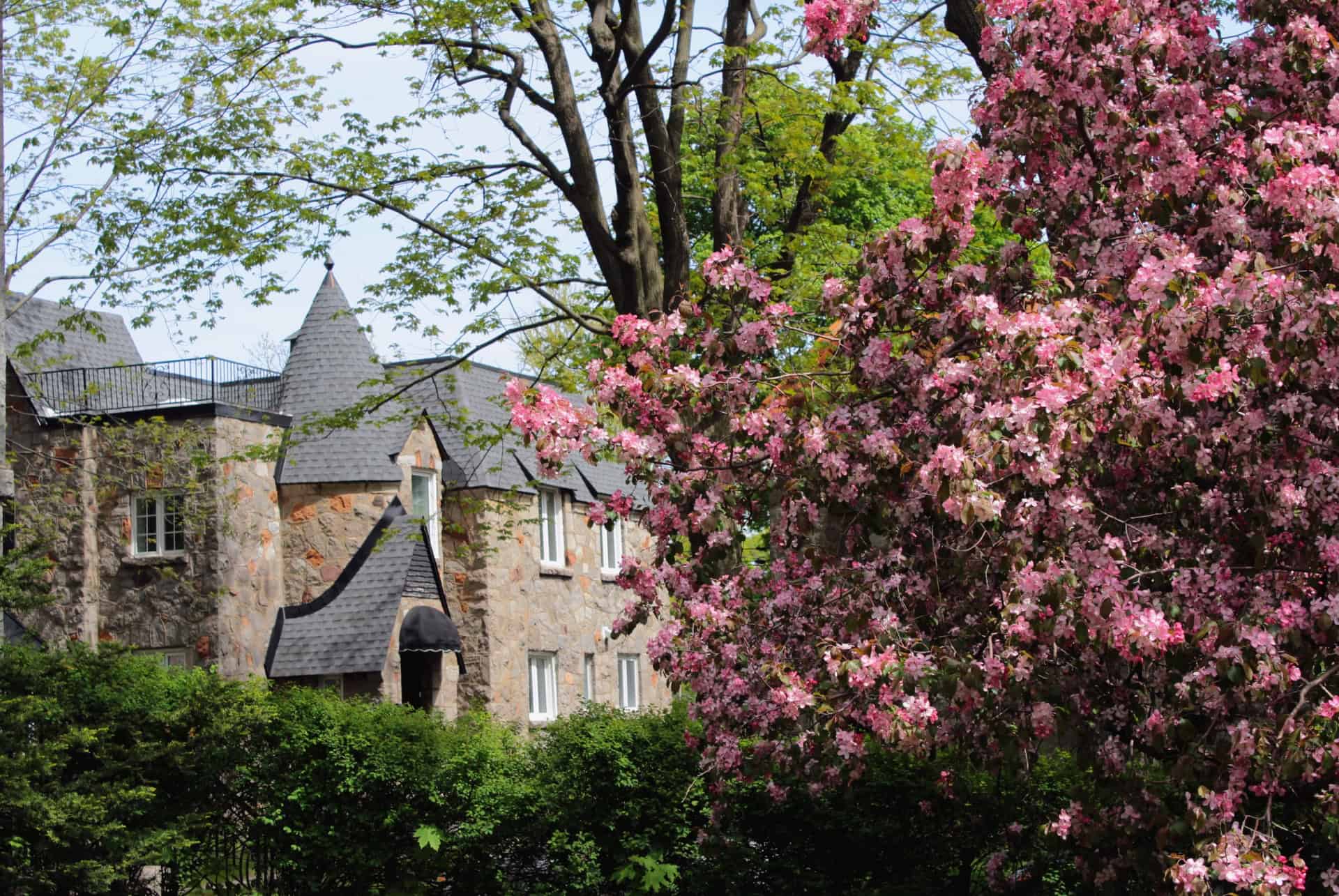 dormir montreal outremont