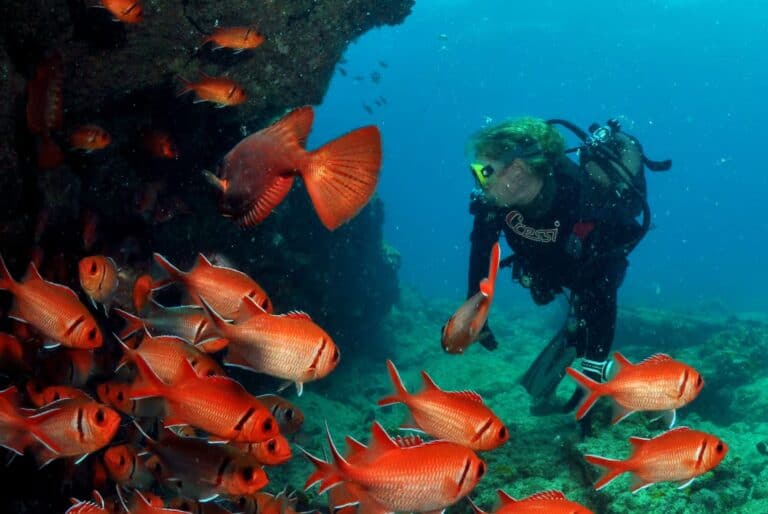 Plongée sous-marine à Santa Maria