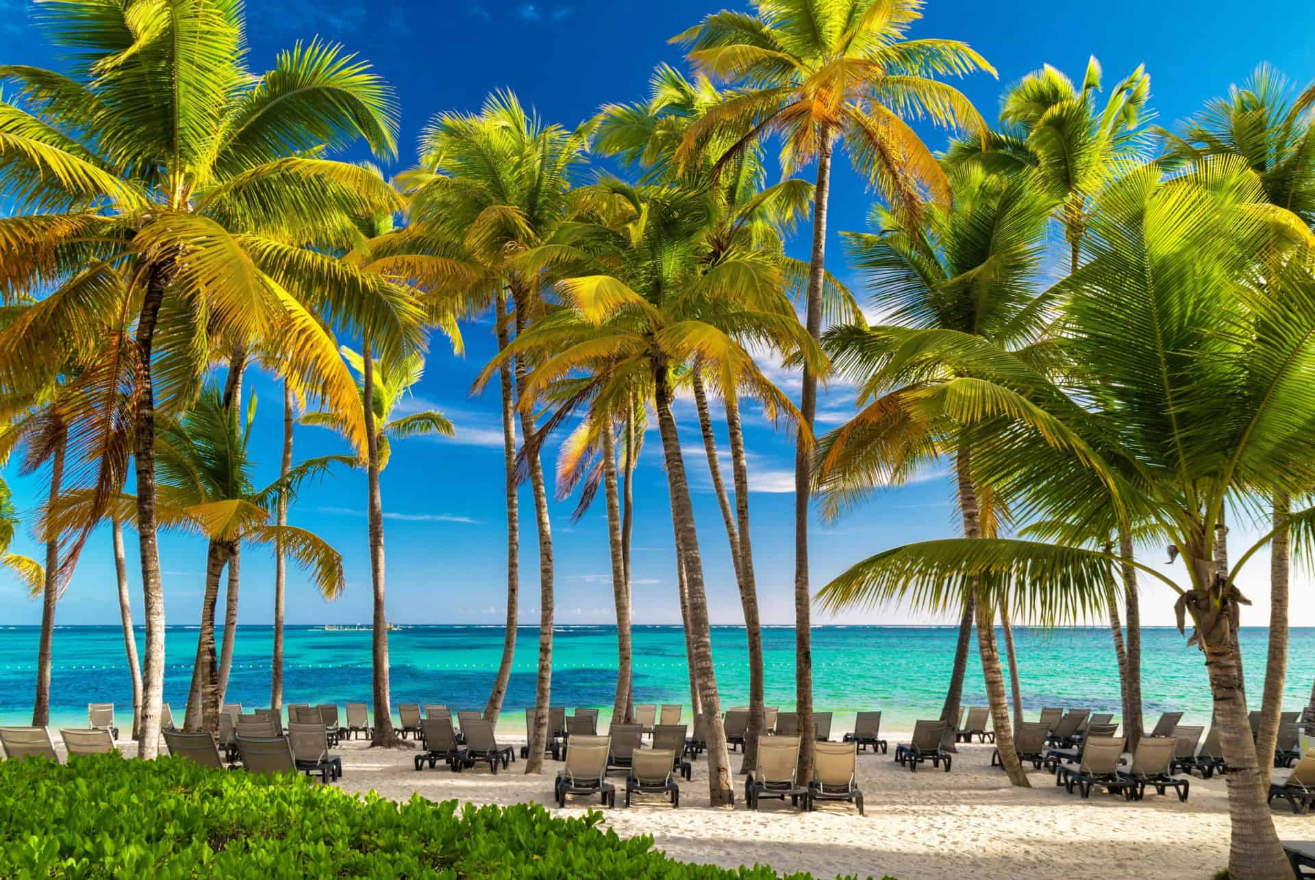 punta cana que faire