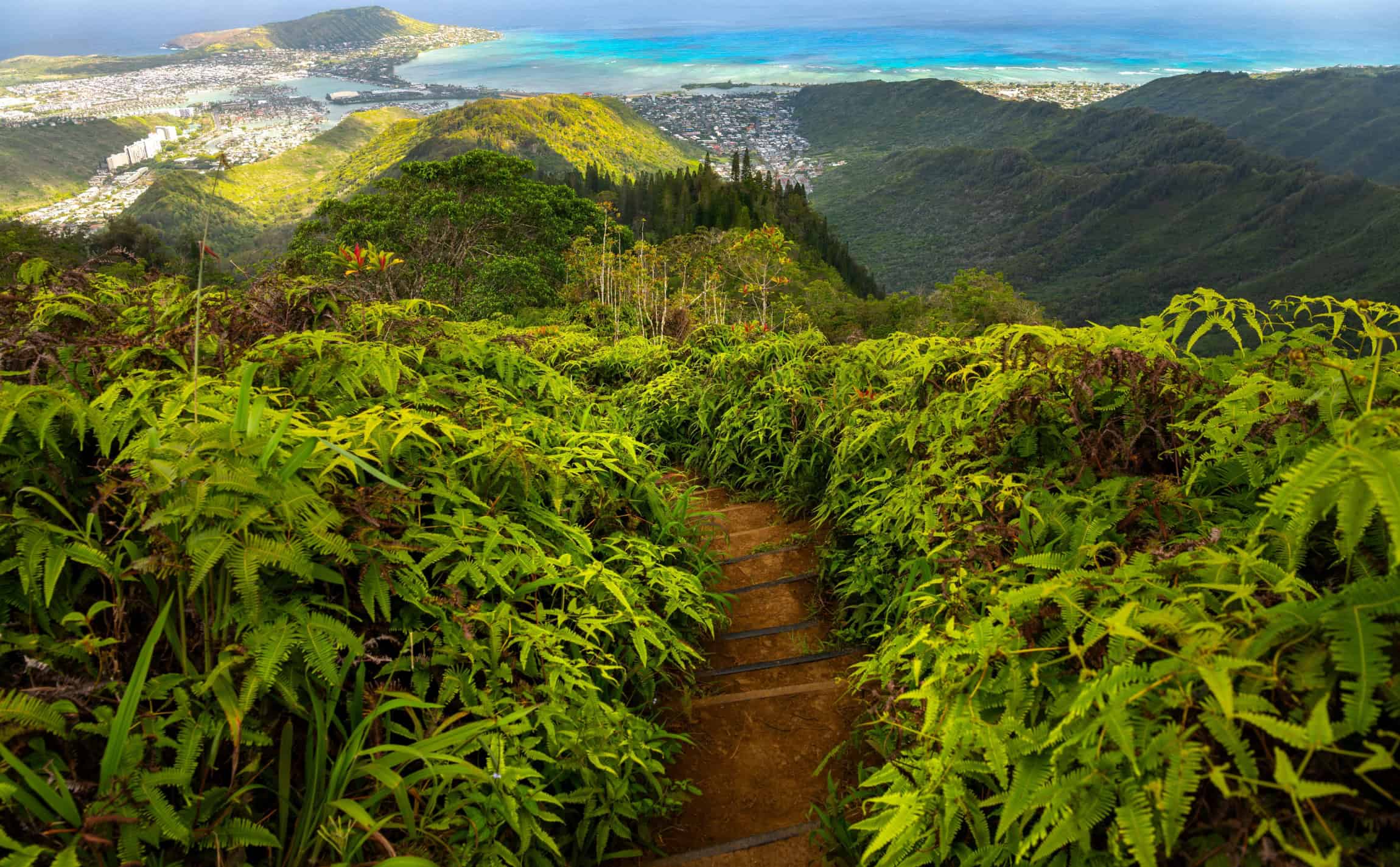 que faire a oahu