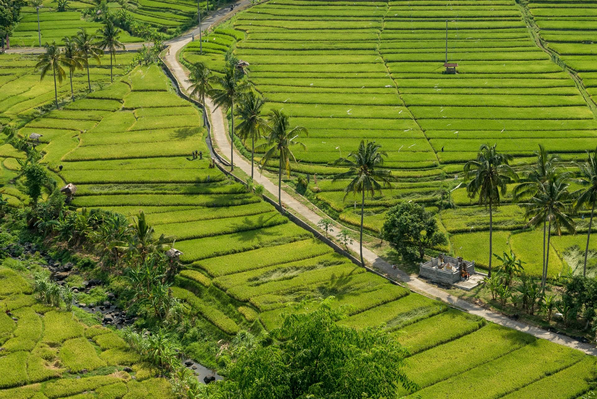 route de pupuan