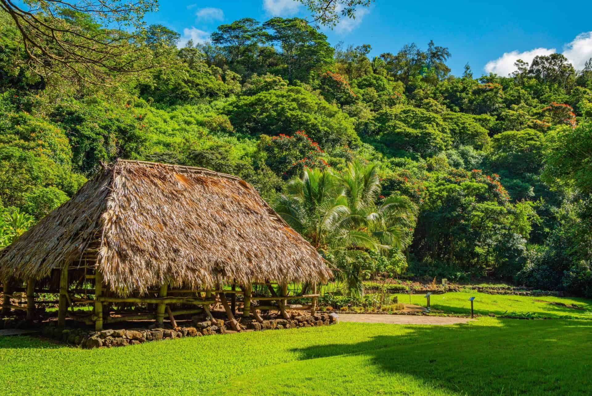 jardin mcbryde kauai