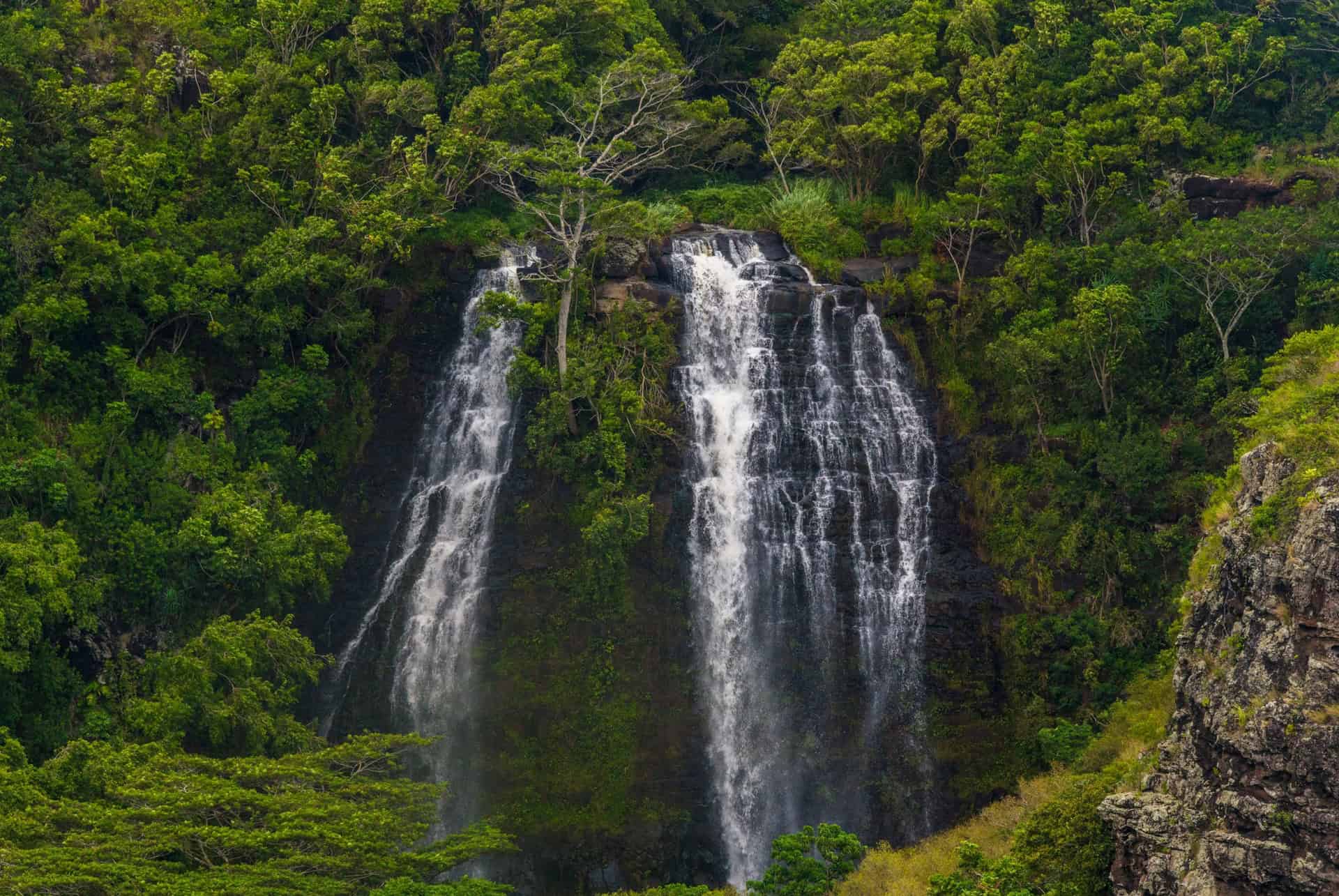uluwehi falls kauai