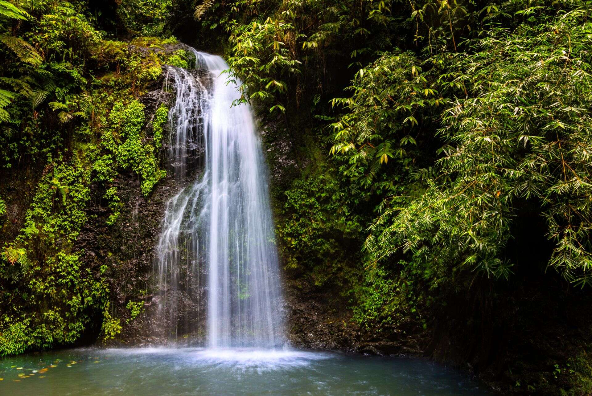 cascade saut du gendarme martinique