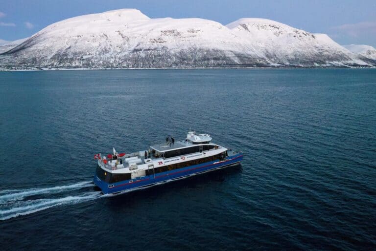 Safari d'observation des baleines en catamaran à grande vitesse