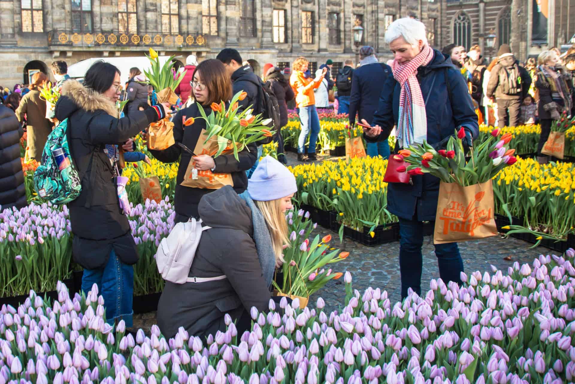 amsterdam winter festival