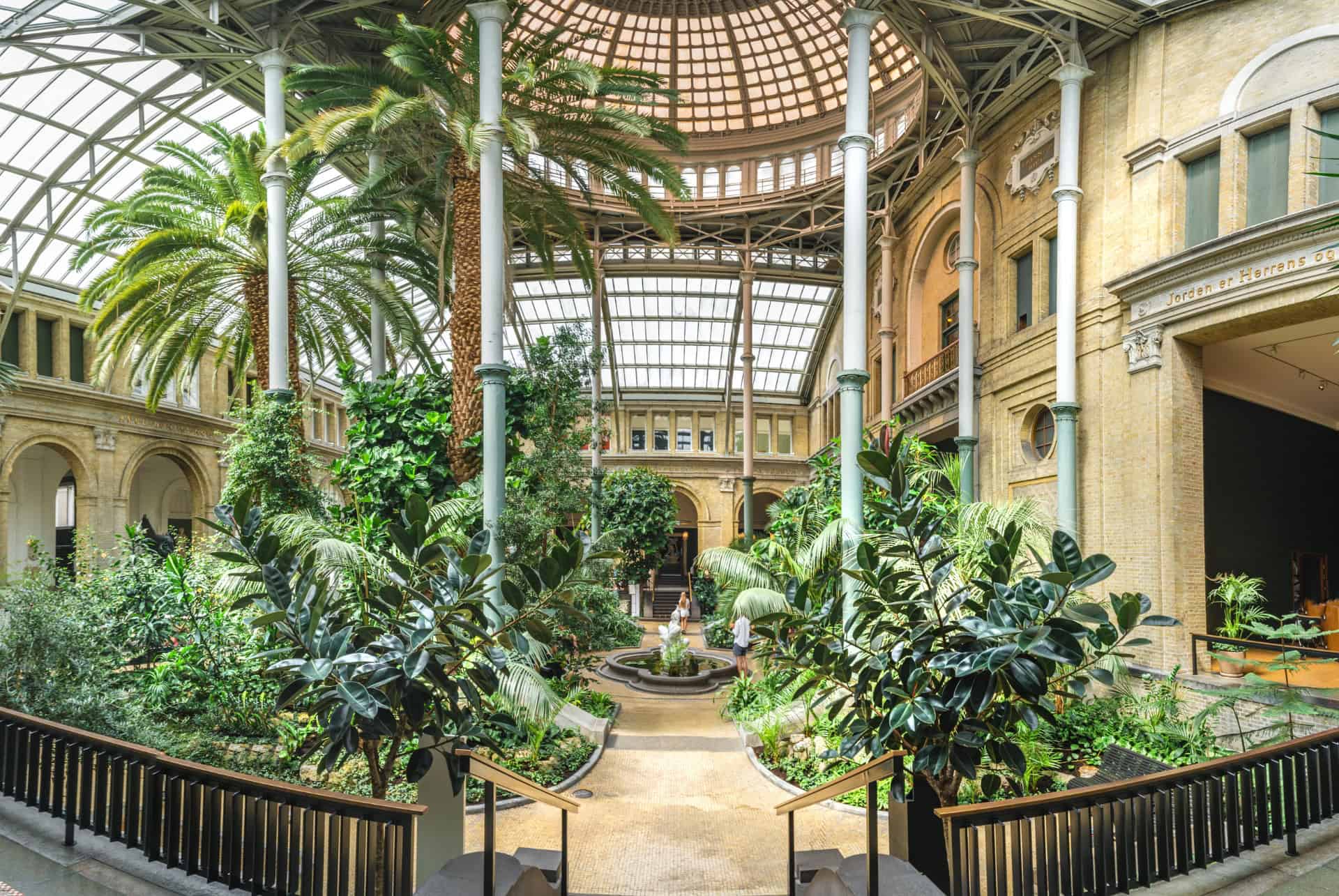 copenhagen new carlsberg glyptotek jardin