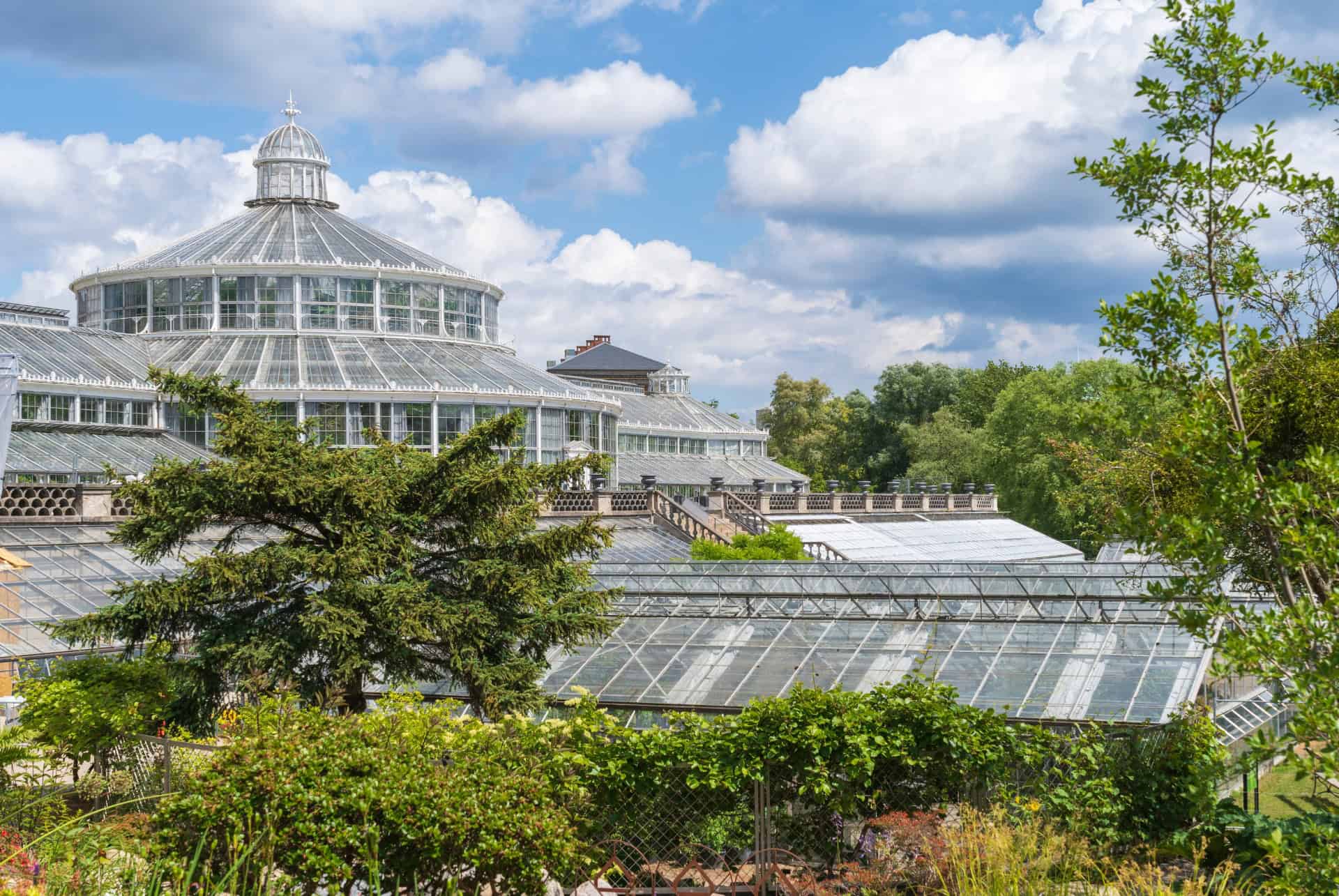 jardin botanique copenhague