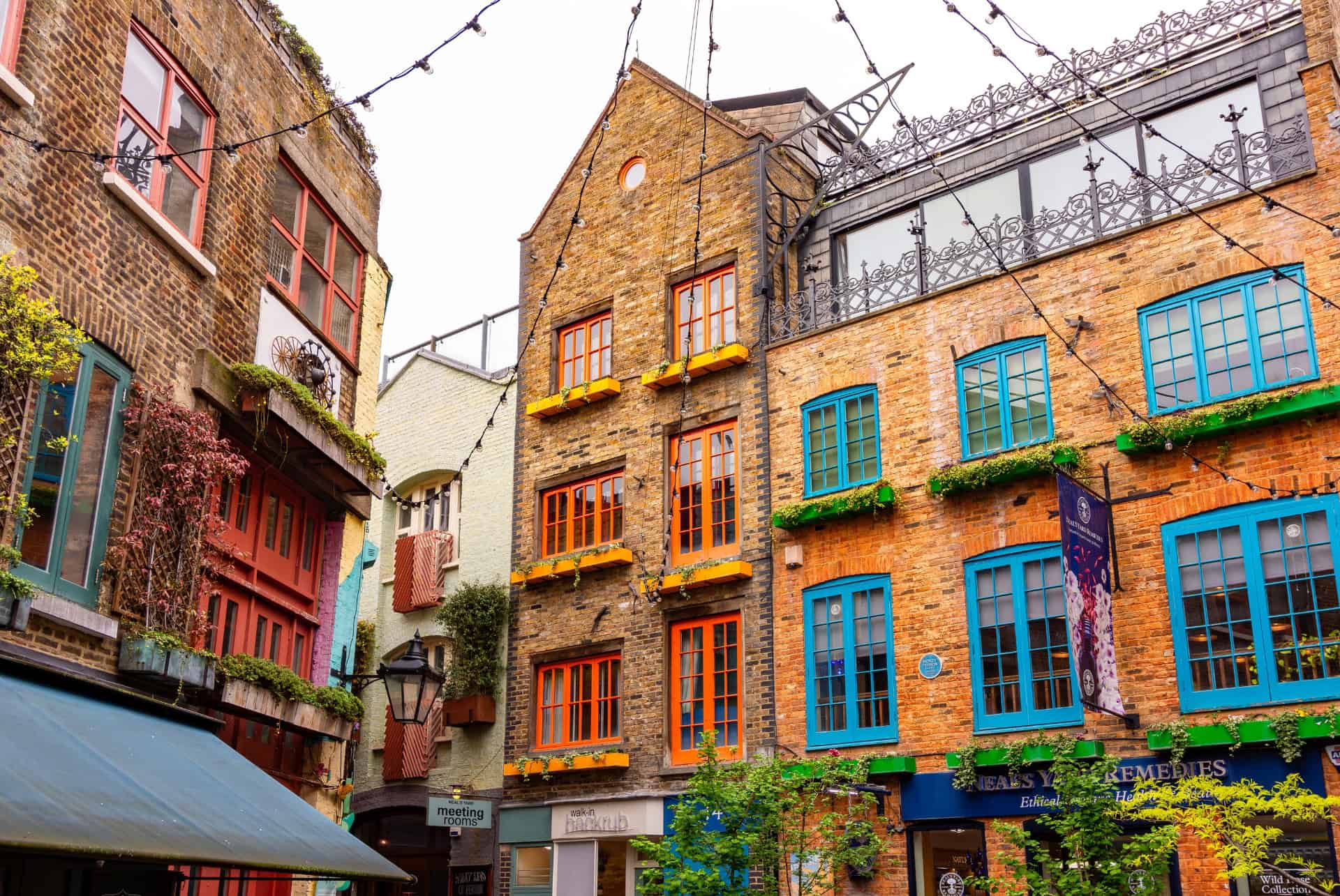 neals yard