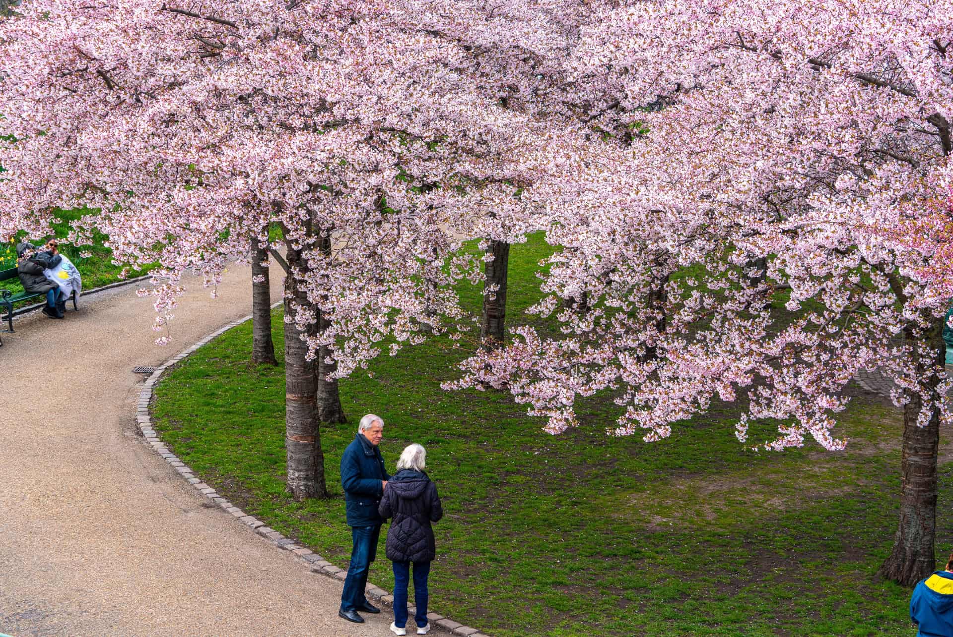 festival copenhague en avril