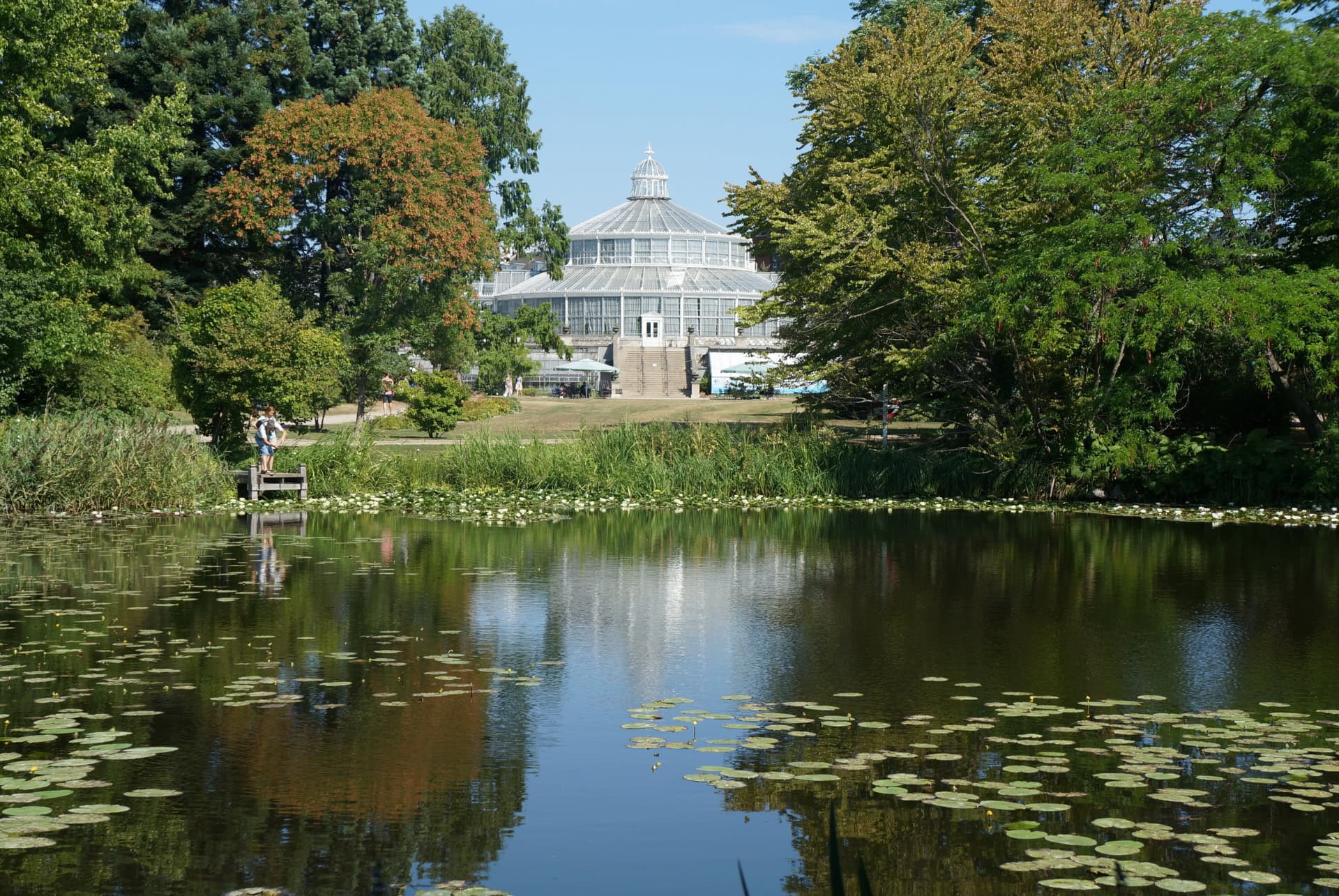 jardin botanique de copenhague