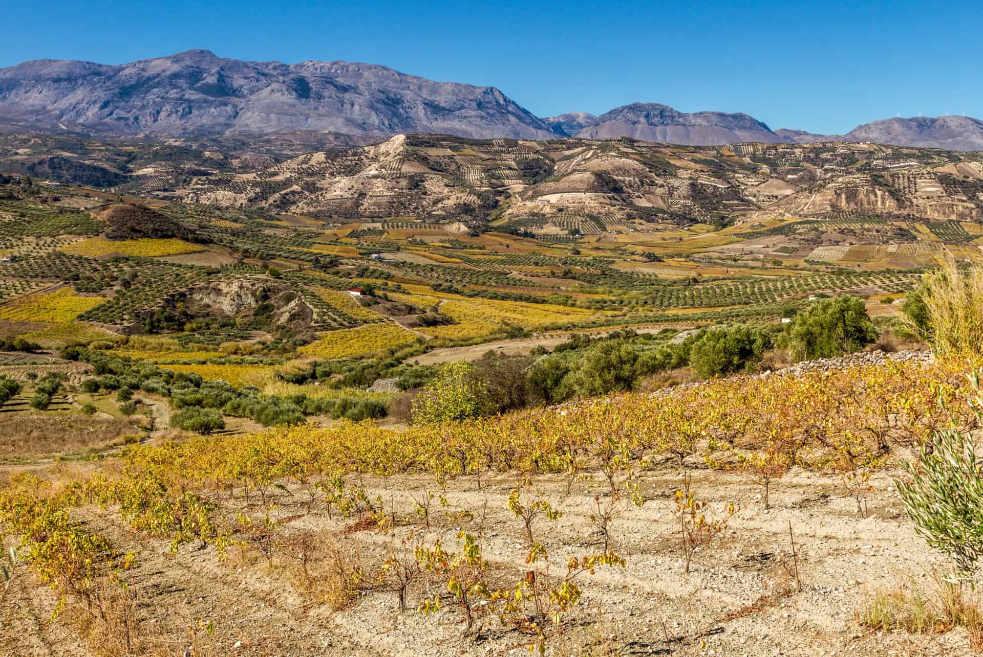 campagne heraklion en crete