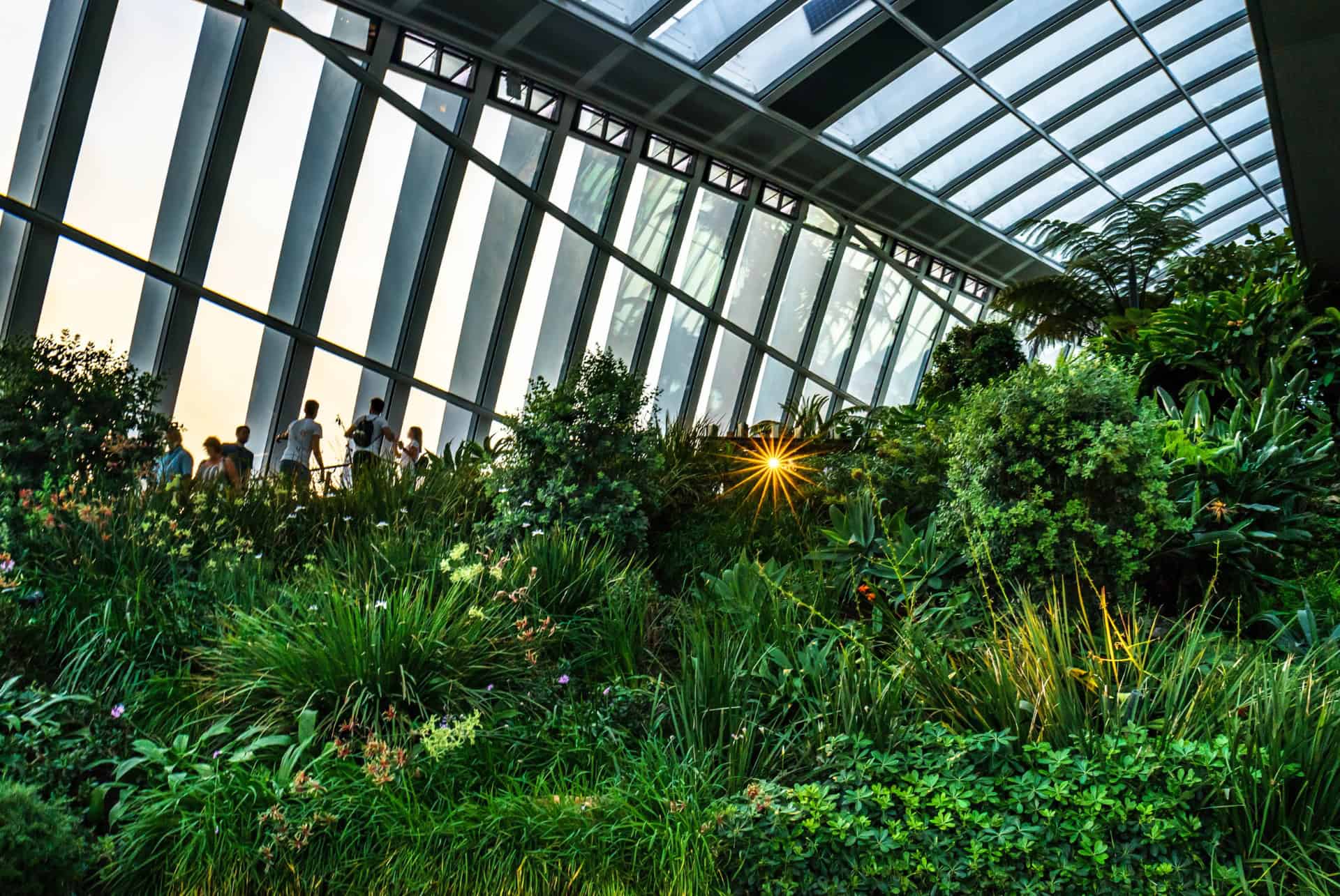 jardin suspendu sky garden
